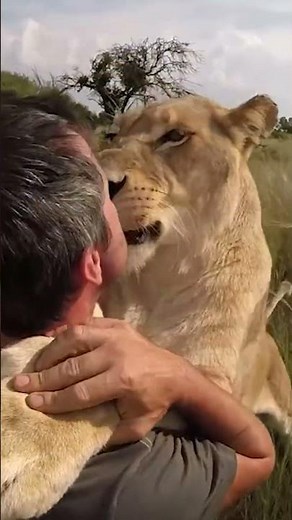 Happy: Amazing Love Between Animals and Humans 💖