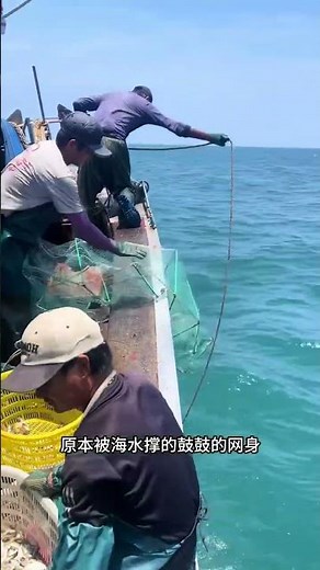 A Massive 100-Meter Net Cast into the Sea: A Breathtaking Look at Deep-Sea Fishing #Outdoors #Fis...