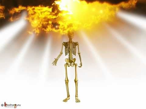 Science - Human Body Bones and Muscles - Part 3 - Hindi