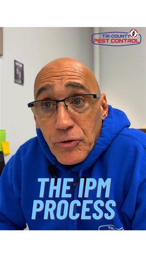 Pest Control has evolved from traditional treatments to smarter strategies🧠 So let’s chat about how the IPM process works and why it matters🪳💭 ☎️ 914-412-7177 #pestcontrol #exterminator #pestcontrolnyc #bugtok #bugsoftiktok #cockroaches #roachtok #pestcontrolfacts #pestcontrolservice #pestsolutions #pesteducation #pestmanagement #didyouknow? #learnsomethingnew #fyp | Tri-County PestControl