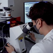 Video: In vitro Time-lapse Live-Cell Imaging to Explore Cell Migration toward the Organ of Corti