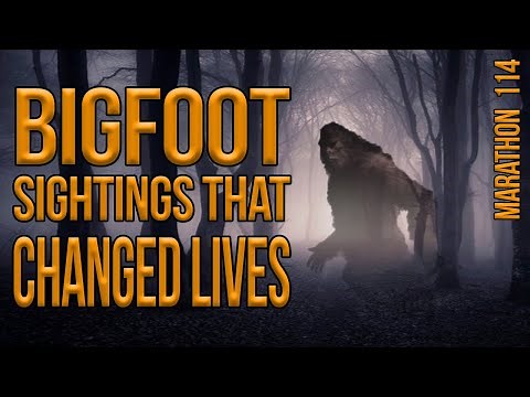 Bigfoot Sightings That Changed Lives. Marathon 114