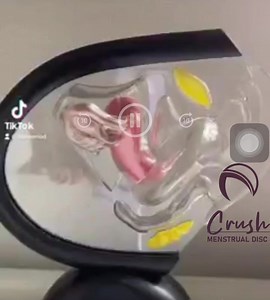 Mess free period sexကတကယ်ရတာလား?? တကယ်ရတာပါရှင်藍 | Beauty Net Korea | Facebook