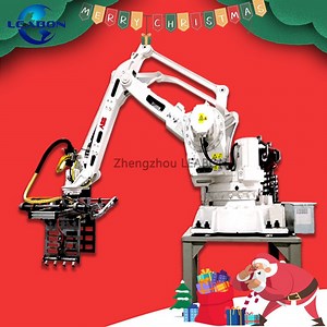 [Hot Item] Heavy Duty Automatic Palletizer Robot Automatic Robot Carton Palletizer Machine Packaging Line Price for Sale