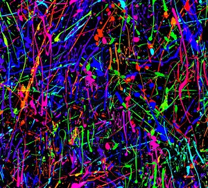 Rainbow Neon Paint Splatter Seamless Digital Paper Background Texture - Digital Download Files - Etsy