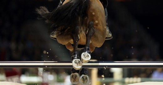 Equitation : Coupe du monde de saut d'obstacles - Jumping de Thermal