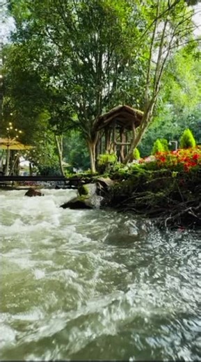 Video của NP (@p.v.n_83_hcm) với bản nhạc nhạc nền - N - NP