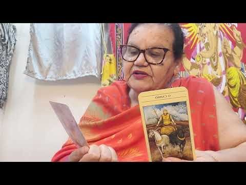 Gemini ♊️ ♊️ joys, justice in your favor, have faith, sales increasing...