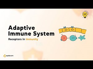 Receptors in Immunity - Adaptive Immune System