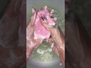 Colorful Soap Melting & Lather Sounds 🌈 | Relaxing ASMR Soap, Foam & Sponge Sounds