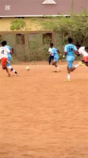 Stadium Vibes: A Celebration of Community and Music