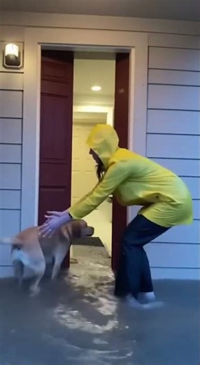 When the Flood SWALLOWED the Street… This Was Terrifying