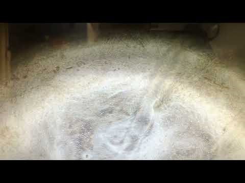 Human airway organoid cilia moving mucus at Texas Biomed