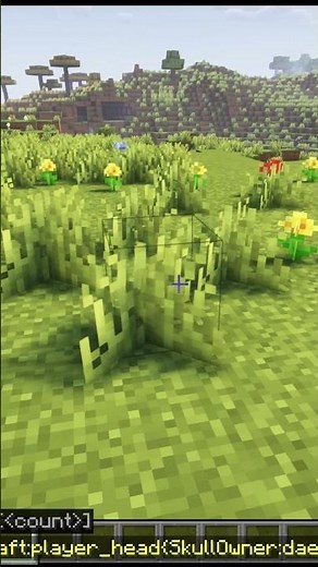 How to get player heads in Minecraft #buildhacks #minecraft