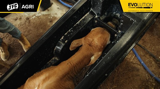 Hear it straight from Chris Giles 👨‍🌾🐄 See how the Evolution Automatic Calf Feeder is making calf rearing simpler, smarter and more efficient on his farm. Want to know if it’s right for you? DM us for more info or come see the machine in action at Southern Fieldays. 📍 Southern Fieldays 🗓 February 11–13 📌 Waimumu, Gore 🔢 Stand 372 We’d love to chat and show you what Evolution can do for your operation. | JFC Agri