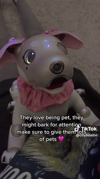 I’ve been asked this once or twice so I thought I’d make a video abt :) #aibo #sonyaibo #aiboers1000 #aiboerobot #robotics #foryoupage #aibotok #aiboari #fypage
