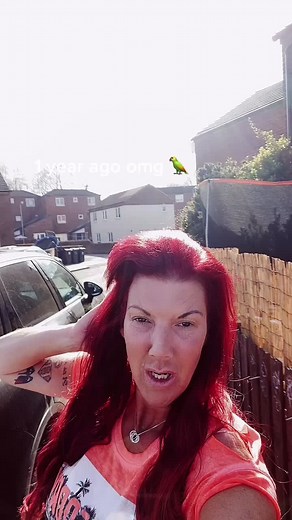 Chanel the African Grey Parrot Celebrates 1 Year Anniversary