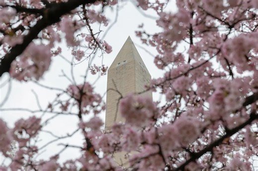 What is the April weather outlook in the Washington DC area?