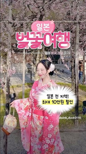 일본 벚꽃 여행 추천｜지금 가장 핫한 스팟🌸