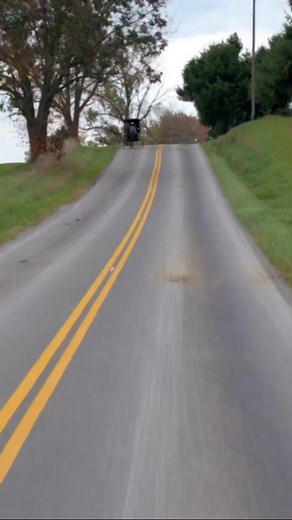 Top 5 Amish Communities by Population #amish #amishlife #amishcountry #trendingvideo | The Amish Way