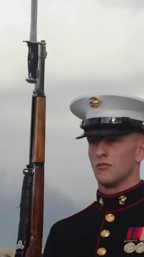 52 reactions · 4 comments | May is Military Appreciation Month! This month, we honor the courage and service of all who wear the uniform—past and present—at home and abroad. Join us in thanking our Soldiers, Airmen, veterans, and military families who make countless sacrifices to protect our freedoms.  #MilitaryAppreciationMonth #MichiganNationalGuard #ServeWithHonor #AlwaysReadyAlwaysThere | Michigan National Guard | Facebook