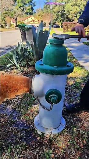 Fire Hydrant Maintenance: The Key to Public Safety