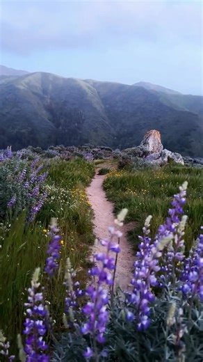 Paradise | Dream hike spot? Big Sur, California 🙌 🌊 Big Sur’s rugged cliffs, ocean views, and winding trails make every step worth it. From misty... | Instagram
