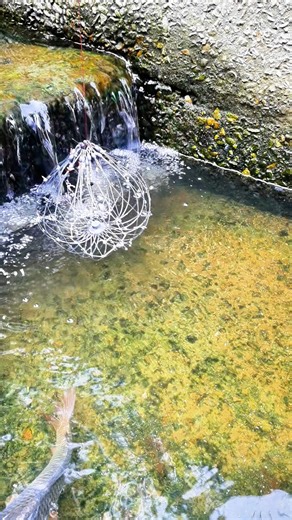 Built a DIY Fish Trap That’ll Make Every Fisherman Jealous | Catch Fish With ET