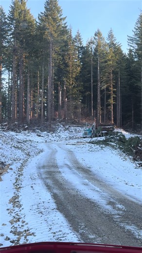 New Year Haul: Logging Gear and Truck Essentials