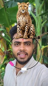 2.1M views · 17K reactions | Cheetah  puzzle game  #fb #cheetah #running #puzzle #viral #Amazing #fbreelsfypシ゚ #fbreels2025ツ | Facts Mind 99 | Facebook