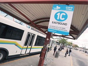 Where's my bus? Transit Windsor tests new text system
