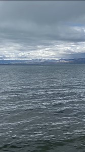 Lake Manasarovar #Lakemanasarovar #travelwithtn #travelphotography #harharmahadev # | TN Bhatta