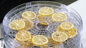 dried lemon on the plate, slises of lemons on a plate, lemons after Dehydration