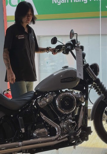 Exploring the Harley Davidson Street Bob Motorcycle