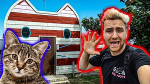 Exploring Cat Island - houses shaped as cats amazing *cat lovers dream*