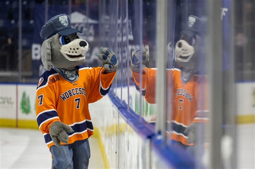 Worcester Railers’ comeback effort falls short in loss to Everblades