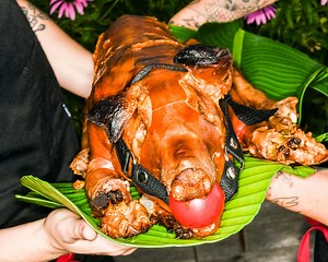 Ball-Gagged Whole Roasted Suckling Pig Recipe
