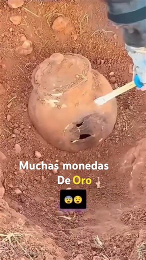 Muchas monedas de oro #videos #fyp