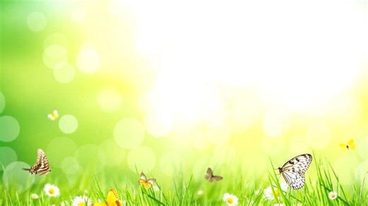 菲尔普森空气能维修中心|24小时全国统一售后受理中心电话4008899746