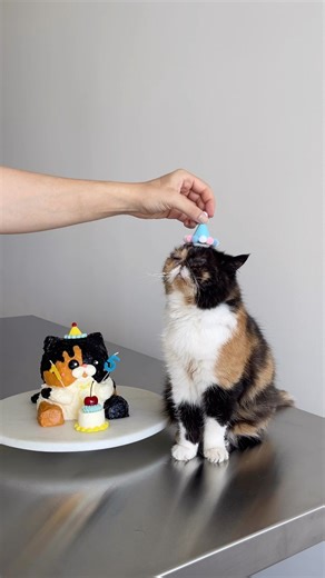 A pudge cake to celebrate Pudge’s 15th birthday! (her birthday was July 5) #cutecake #catcake #cakedesign #mustachecat #pudgethecatday | Pudge