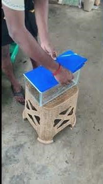 Day:46...Mini fish tank set-up..#fishlover #fishtank #vlog #viralshorts #fishtankideas #fishtankvlog
