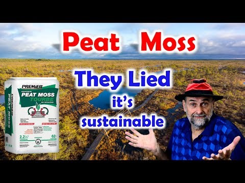 The TRUTH About Peat Moss Environmental Impact Revealed