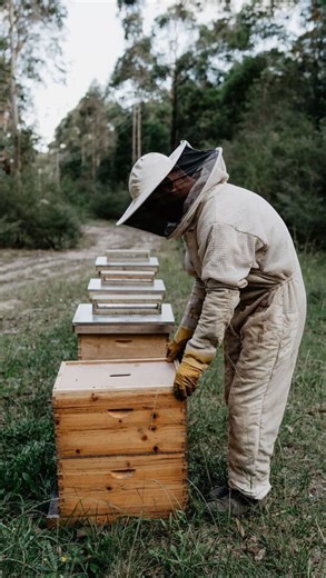 How to Prepare Your Bees for Winter: 7 Key Steps 1. Check colony strength. Combine weak colonies with stronger ones so they can survive the cold better. 2. Make sure there’s enough honey. Each colony needs about 40–55 lbs (18–25 kg) of food, depending on your climate. 3. Prevent diseases. Treat for Varroa mites and support gut health — use BeeBites or SuperFuel probiotics for strong immunity. 4. Inspect the queen. The colony should go into winter with a young, active queen. 5. Insulate the hives