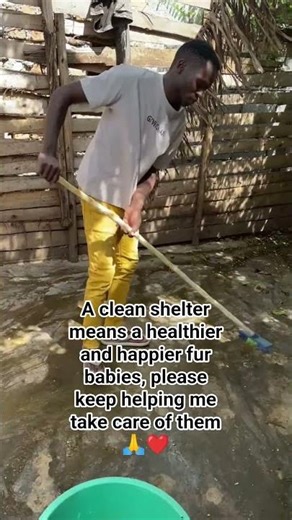 Please consider helping by donating through our PayPal link in the bio ❤️🙏