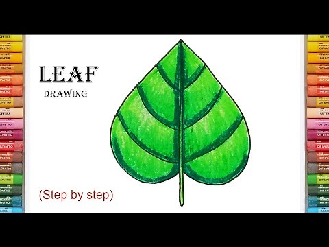 How to Draw a Leaf Easy || Leaf Drawing || How to Draw a Leaf Step by Step