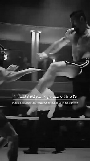 Boyka: Légende du MMA et Champion UFC