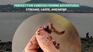 Watch European Nightcrawlers - Live Composting & Fishing Worms on Amazon Live