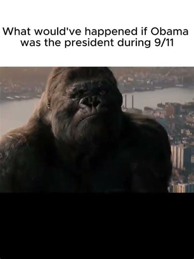 9/11 be like #memes #funny