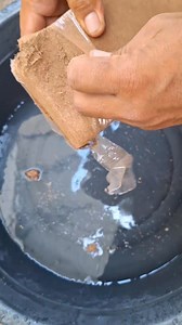 91K views · 358 reactions | Bili na po kayo coco peat cash on delivery ito po link sa shopee https://s.shopee.ph/40SqiP225A | Seedlings La castellana | Facebook