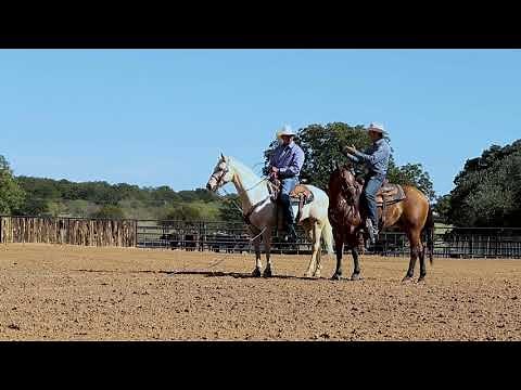Patrick Smith | Heeling Tips | Setting up the Stop | Win-A-Day ft. Cam Dahozy | Team Roping